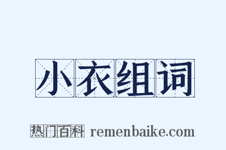 小衣组词是什么意思的图片